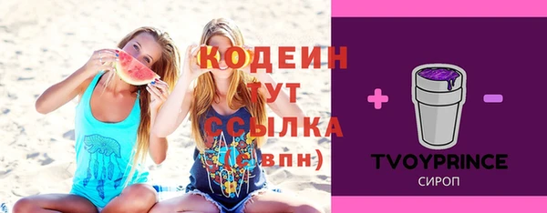 соль ск Бородино